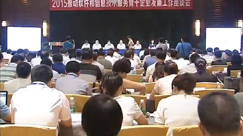 信息系统集成资质：揭秘其费用构成与价值体现